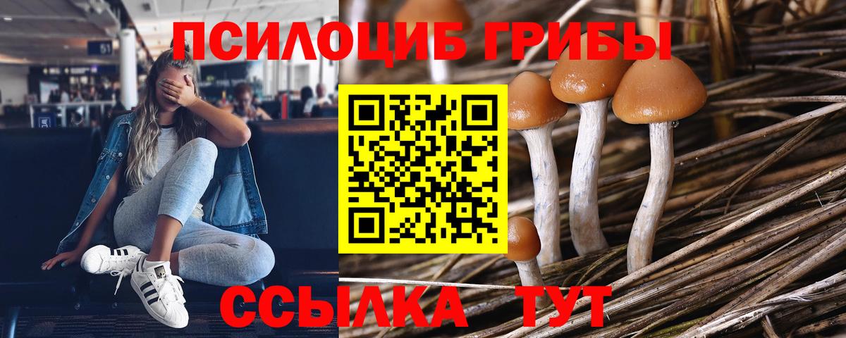 Галлюциногенные грибы ЛСД Выборг